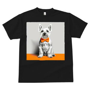 ~j`AViEU[ TVc  j[NfUCfB[X t@  t vg lJWA 킢 lԗp Mtg I ҏ΍ lN^C ~j`AViEU