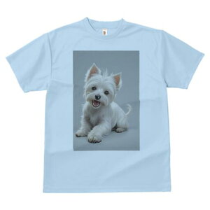 EGXgnChzCgeA TVc  j[NfUCfB[X t@  t vg lJWA 킢 lԗp Mtg I ҏ΍ EGXgnChz