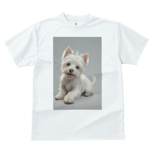 EGXgnChzCgeA TVc  j[NfUCfB[X t@  t vg lJWA 킢 lԗp Mtg I ҏ΍ EGXgnChz