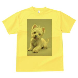 EGXgnChzCgeA TVc  j[NfUCfB[X t@  t vg lJWA 킢 lԗp Mtg I ҏ΍ EGXgnChz