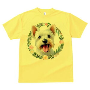 EGXgnChzCgeA TVc  j[NfUCfB[X t@  t vg lJWA 킢 lԗp Mtg I ҏ΍  EGXgnCh