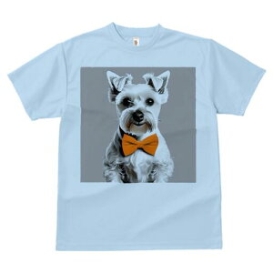 ~j`AViEU[ TVc  j[NfUCfB[X t@  t vg lJWA 킢 lԗp Mtg I ҏ΍ lN^C ~j`AViEU