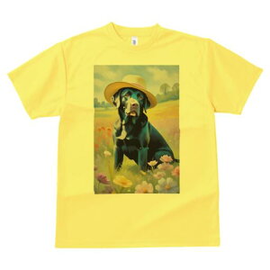 uh[go[ TVc  j[NfUCfB[X t@  t vg lJWA 킢 lԗp Mtg I ҏ΍ Xq uh[go[ 