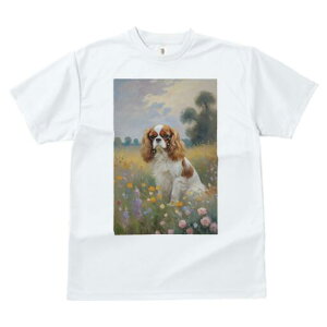 LoA TVc  j[NfUCfB[X t@  t vg lJWA 킢 lԗp Mtg I ҏ΍ Ԕ LoA i G