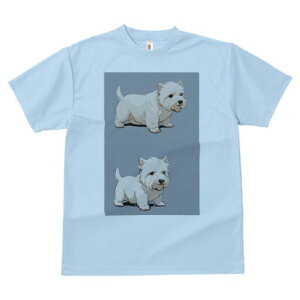 EGXgnChzCgeA TVc  j[NfUCfB[X t@  t vg lJWA 킢 lԗp Mtg I ҏ΍ EGXgnChz