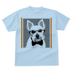 EGXgnChzCgeA TVc  j[NfUCfB[X t@  t vg lJWA 킢 lԗp Mtg I ҏ΍ Kl EGXgnC