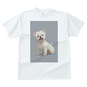 EGXgnChzCgeA TVc  j[NfUCfB[X t@  t vg lJWA 킢 lԗp Mtg I ҏ΍ EGXgnChz