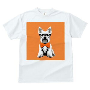 EGXgnChzCgeA TVc  j[NfUCfB[X t@  t vg lJWA 킢 lԗp Mtg I ҏ΍ Kl EGXgnC