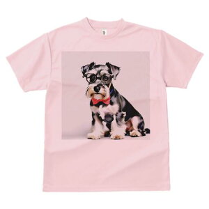 ~j`AViEU[ TVc  j[NfUCY LbY t@  t vg lJWA 킢 lԗp Mtg I ҏ΍ Kl ~j`AViEU