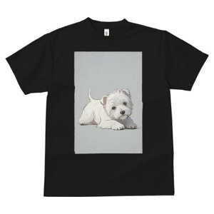 EGXgnChzCgeA TVc  j[NfUCfB[X t@  t vg lJWA 킢 lԗp Mtg I ҏ΍ EGXgnChz