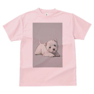 EGXgnChzCgeA TVc  j[NfUCfB[X t@  t vg lJWA 킢 lԗp Mtg I ҏ΍ EGXgnChz