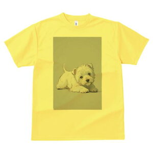 �E�G�X�g�n�C�����h�z���C�g�e���A T�V���c ���� ���j�[�N�f�U�C�����f�B�[�X ���t�@�� ���� �t�� �v�����g ��l�J�W���A�� ���킢�� �l�ԗp �M�t�g ���I �ҏ��΍� �E�G�X�g�n�C�����h�z