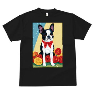 {XgeA TVc  j[NfUCY LbY t@  t vg lJWA 킢 lԗp Mtg I ҏ΍ o {XgeA ԂlN^C 