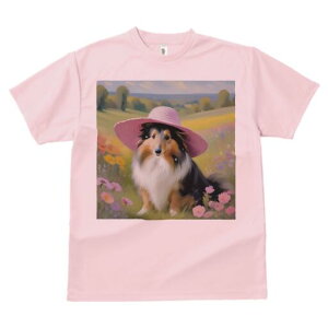 VFbghV[vhbO TVc  j[NfUCfB[X t@  t vg lJWA 킢 lԗp Mtg I ҏ΍ Xq VFbghV[vh