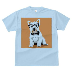 EGXgnChzCgeA TVc  j[NfUCfB[X t@  t vg lJWA 킢 lԗp Mtg I ҏ΍ Kl EGXgnC