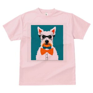 EGXgnChzCgeA TVc  j[NfUCfB[X t@  t vg lJWA 킢 lԗp Mtg I ҏ΍ Kl EGXgnC