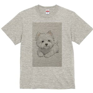 EGXgnChzCgeA TVc  j[NfUCfB[X t@  t vg lJWA 킢 lԗp Mtg I ҏ΍  EGXgnCh