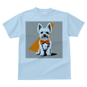 EGXgnChzCgeA TVc  j[NfUCfB[X t@  t vg lJWA 킢 lԗp Mtg I ҏ΍ lN^C EGXgn