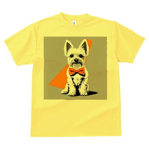 EGXgnChzCgeA TVc  j[NfUCfB[X t@  t vg lJWA 킢 lԗp Mtg I ҏ΍ lN^C EGXgn