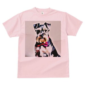 ~j`AViEU[ TVc  j[NfUCfB[X t@  t vg lJWA 킢 lԗp Mtg I ҏ΍ Kl ~j`AViEU[ 