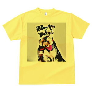 ~j`AViEU[ TVc  j[NfUCY LbY t@  t vg lJWA 킢 lԗp Mtg I ҏ΍ Kl ~j`AViEU