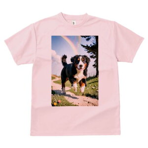 o[j[Y}EehbO TVc  j[NfUCfB[X t@  t vg lJWA 킢 lԗp Mtg I ҏ΍  o[j[Y}Eehb