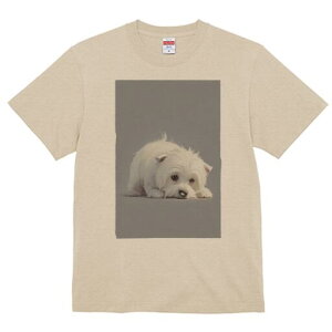 EGXgnChzCgeA TVc  j[NfUCfB[X t@  t vg lJWA 킢 lԗp Mtg I ҏ΍ EGXgnChz