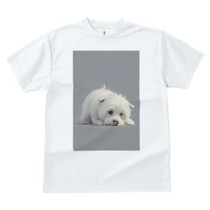 EGXgnChzCgeA TVc  j[NfUCfB[X t@  t vg lJWA 킢 lԗp Mtg I ҏ΍ EGXgnChz