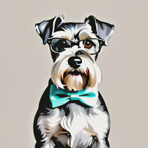 Kl ~j`AViEU[ lN^C NbVJo[ 45×45cm Aj}   NbV{̕t `