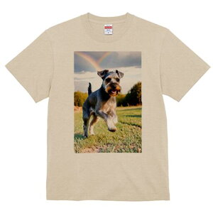 ~j`AViEU[ TVc  j[NfUCfB[X t@  t vg lJWA 킢 lԗp Mtg I ҏ΍  ~j`AViEU[ Ő 