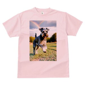 ~j`AViEU[ TVc  j[NfUCfB[X t@  t vg lJWA 킢 lԗp Mtg I ҏ΍  ~j`AViEU[ Ő 