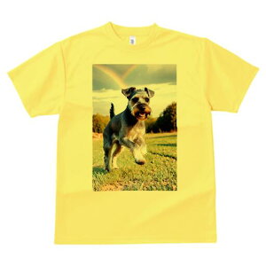 �~�j�`���A�V���i�E�U�[ T�V���c ���� ���j�[�N�f�U�C�����f�B�[�X ���t�@�� ���� �t�� �v�����g ��l�J�W���A�� ���킢�� �l�ԗp �M�t�g ���I �ҏ��΍� �� �~�j�`���A�V���i�E�U�[ �Ő� 