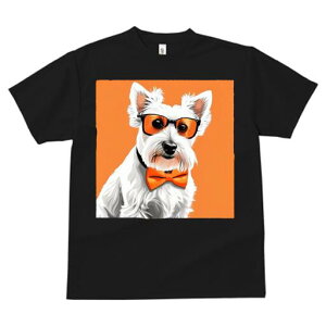 EGXgnChzCgeA TVc  j[NfUCfB[X t@  t vg lJWA 킢 lԗp Mtg I ҏ΍ Kl EGXgnC