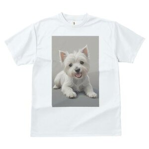 EGXgnChzCgeA TVc  j[NfUCfB[X t@  t vg lJWA 킢 lԗp Mtg I ҏ΍ EGXgnChz