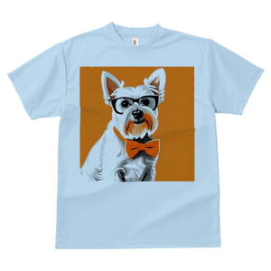 EGXgnChzCgeA TVc  j[NfUCfB[X t@  t vg lJWA 킢 lԗp Mtg I ҏ΍ Kl EGXgnC