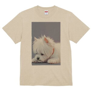 EGXgnChzCgeA TVc  j[NfUCfB[X t@  t vg lJWA 킢 lԗp Mtg I ҏ΍ EGXgnChz