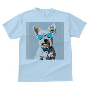 EGXgnChzCgeA TVc  j[NfUCfB[X t@  t vg lJWA 킢 lԗp Mtg I ҏ΍ TOX EGXgn