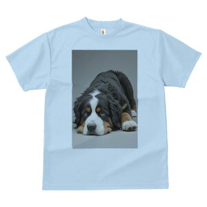 o[j[Y}EehbO TVc  j[NfUCfB[X t@  t vg lJWA 킢 lԗp Mtg I ҏ΍ o[j[Y}EehbO