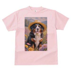 o[j[Y}EehbO TVc  j[NfUCfB[X t@  t vg lJWA 킢 lԗp Mtg I ҏ΍ Xq o[j[Y}Eeh