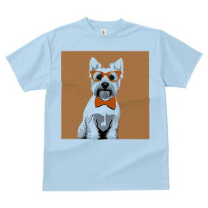 EGXgnChzCgeA TVc  j[NfUCfB[X t@  t vg lJWA 킢 lԗp Mtg I ҏ΍ Kl EGXgnC