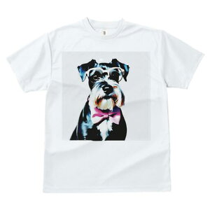 ~j`AViEU[ TVc  j[NfUCfB[X t@  t vg lJWA 킢 lԗp Mtg I ҏ΍ Kl ~j`AViEU[ 