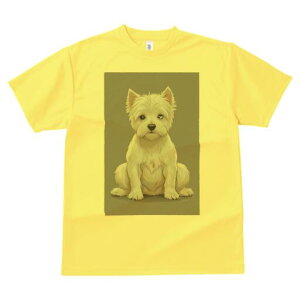 EGXgnChzCgeA TVc  j[NfUCfB[X t@  t vg lJWA 킢 lԗp Mtg I ҏ΍ EGXgnChz