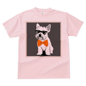 EGXgnChzCgeA TVc  j[NfUCfB[X t@  t vg lJWA 킢 lԗp Mtg I ҏ΍ Kl EGXgnC