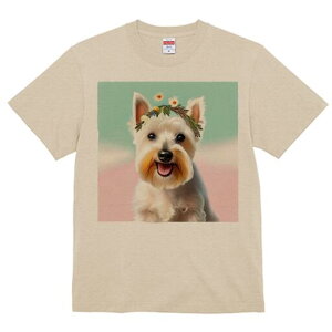 EGXgnChzCgeA TVc  j[NfUCfB[X t@  t vg lJWA 킢 lԗp Mtg I ҏ΍  EGXgnCh