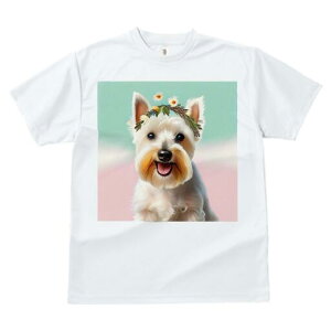 EGXgnChzCgeA TVc  j[NfUCfB[X t@  t vg lJWA 킢 lԗp Mtg I ҏ΍  EGXgnCh