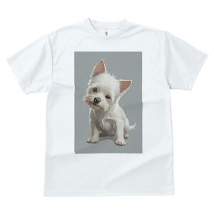 EGXgnChzCgeA TVc  j[NfUCfB[X t@  t vg lJWA 킢 lԗp Mtg I ҏ΍ EGXgnChz