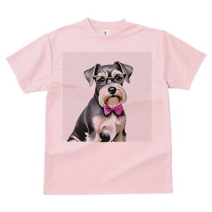 ~j`AViEU[ TVc  j[NfUCY LbY t@  t vg lJWA 킢 lԗp Mtg I ҏ΍ Kl ~j`AViEU