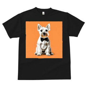 ~j`AViEU[ TVc  j[NfUCfB[X t@  t vg lJWA 킢 lԗp Mtg I ҏ΍ lN^C ~j`AViEU