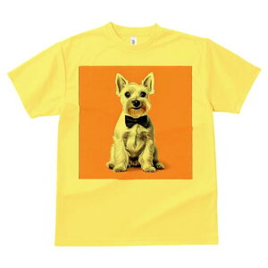 ~j`AViEU[ TVc  j[NfUCfB[X t@  t vg lJWA 킢 lԗp Mtg I ҏ΍ lN^C ~j`AViEU