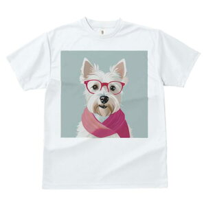 EGXgnChzCgeA TVc  j[NfUCfB[X t@  t vg lJWA 킢 lԗp Mtg I ҏ΍ Kl EGXgnC